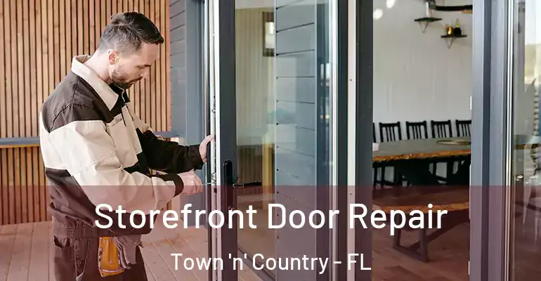  Storefront Door Repair Town 'n' Country - FL