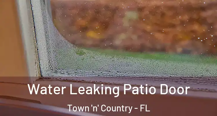  Water Leaking Patio Door Town 'n' Country - FL