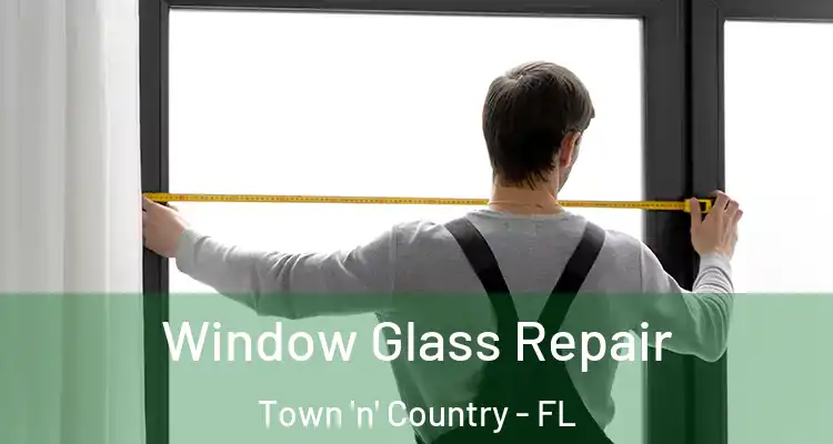  Window Glass Repair Town 'n' Country - FL