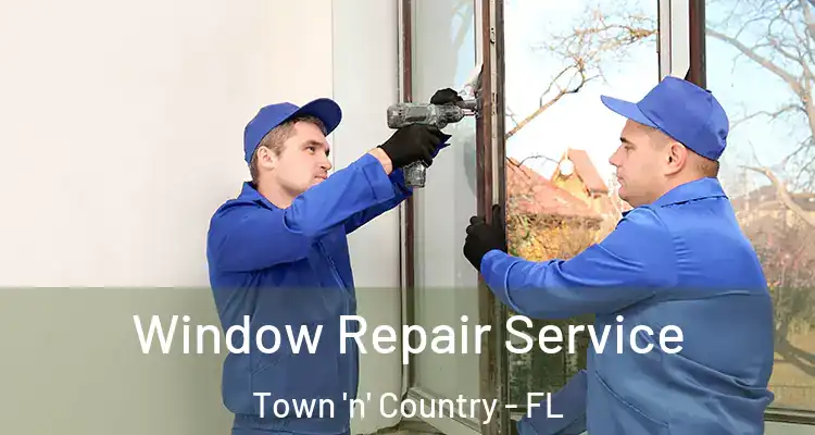  Window Repair Service Town 'n' Country - FL