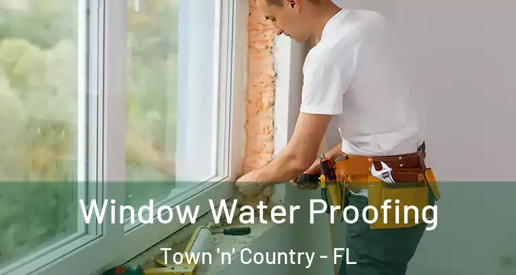 Window Water Proofing Town 'n' Country - FL